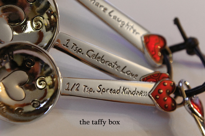 Measuring Spoon Set